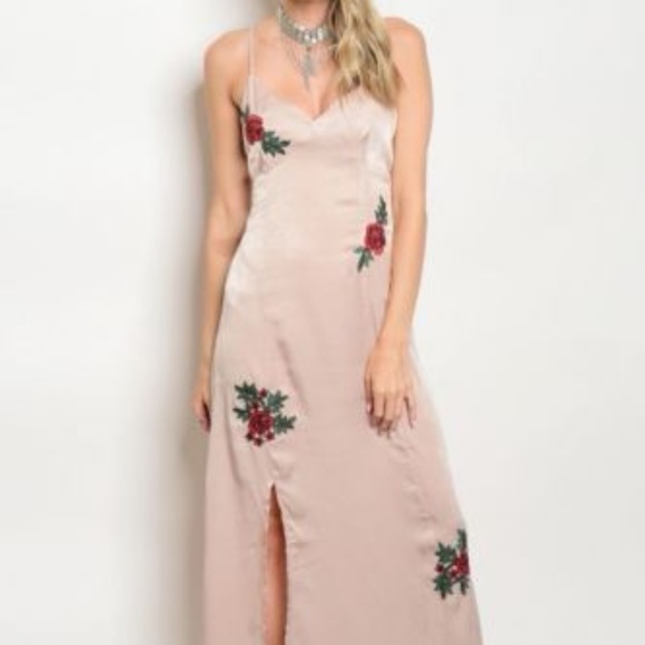 Blush With Rose Applique Spaghetti Strap Dress - Picture 2 of 3